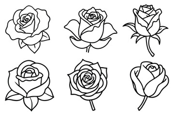 Rose line art illustration Design Concepts