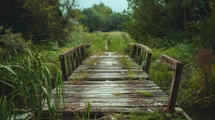 Abandoned broken bridge overgrown with vegetation in a rural landscape