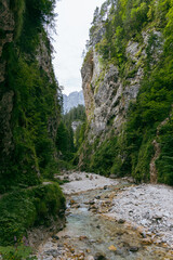 mountain landscape with high rocky peaks and dense forest at the foot. In the foreground, a clear mountain river flows, surrounded by stones and gravel. The sky is cloudy, creating a contrast between 