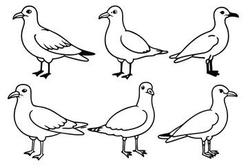 Seagull line art illustration Design Concepts