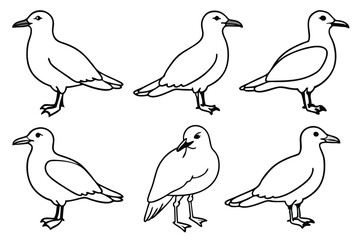 Seagull line art illustration Design Concepts