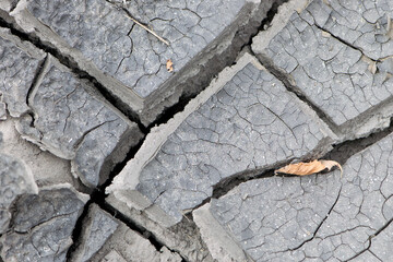 Background of cracks in the soil drought ecology. Dry cracked ground texture. Desert background....