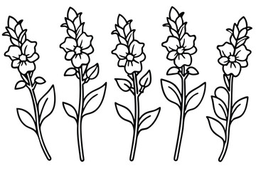 Snapdragon line art illustration Design Concepts