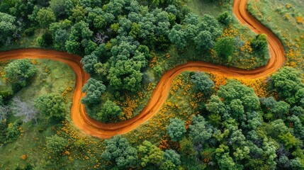 Fototapeta premium Tack-Sharp Abstract Aerial View of Natural Landscapes in High Resolution for Art and Design
