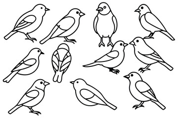 Songbird line art illustration Design Concepts