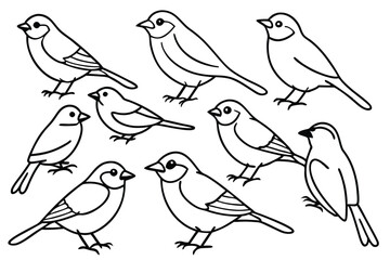 Songbird line art illustration Design Concepts