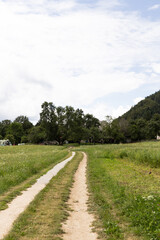 Alpine landscape with a dirt road crossing a fresh green meadow. Dramatic rocky mountain peaks in the background. Beautiful nature of Slovenia. Vertical