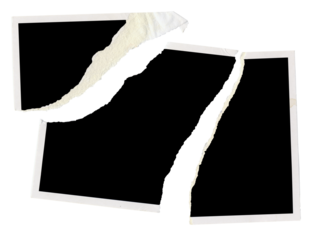 torn old blank photography, photo frame, divorce, contradiction, e.g. concept,isolated on transparent background.