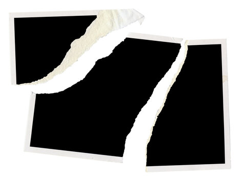 torn old blank photography, photo frame, divorce, contradiction, e.g. concept,isolated on transparent background.