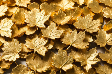 Golden Leaves Scattered on White Background