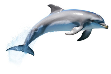 Naklejka premium PNG Dolphin jumping animal mammal fish.