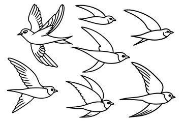 Fototapeta premium Swift bird line art illustration Design Concepts