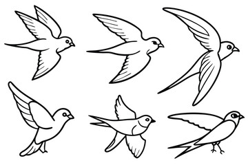 Swift bird line art illustration Design Concepts