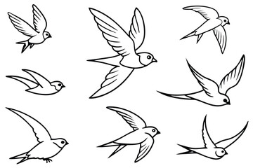 Obraz premium Swift bird line art illustration Design Concepts