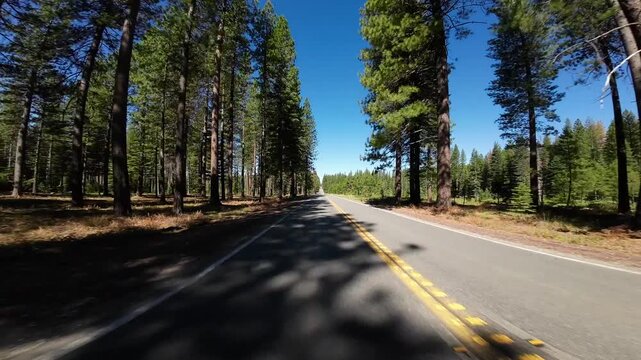 Volcanic Legacy Scenic Byway Shasta McCloud to Curtis 03 Rear View Driving Plates California USA Ultra Wide