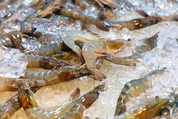 Shrimp and crayfish on ice at the market.