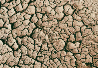 Cracked clay as an abstract background. Texture
