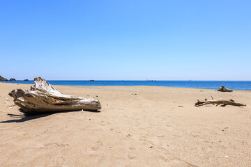 伊良湖岬の恋路ヶ浜　愛知県田原市