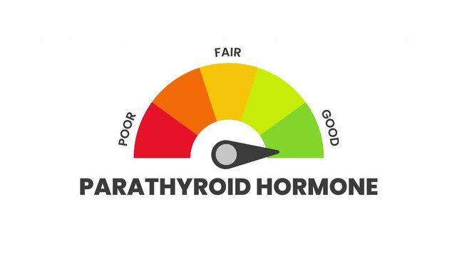 parathyroid hormone Level Measuring animation.4K motion animation.