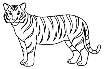 Tiger line art illustration Design Concepts