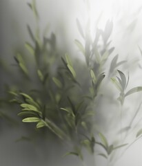 Minimalist 3D rendering of exotic foliage with frosted glass, ideal for a nature-themed poster or wallpaper.