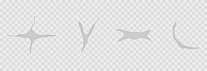 Vector torn paper png. The effect of torn paper, page, notebook. Hole in paper png.