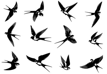 set of silhouettes of birds, silhouette of swallow 