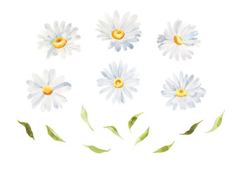 Watercolor Daisy floral illustration, Chamomile spring flowers clipart, Wildflower arrangement and summer wreath, Wedding invitations
