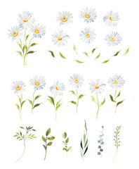 Watercolor Daisy floral illustration, Chamomile spring flowers clipart, Wildflower arrangement and summer wreath, Wedding invitations