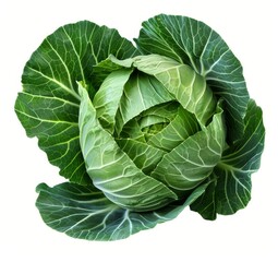 Fototapeta premium Fresh Green Cabbage Isolated on White Background