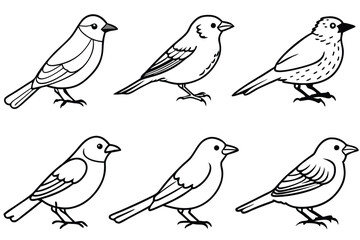 Warbler bird line art illustration Design Concepts