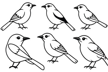 Warbler bird line art illustration Design Concepts