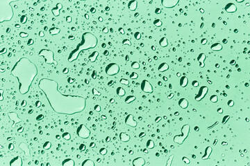 Water drops on green background, green water drops pattern background