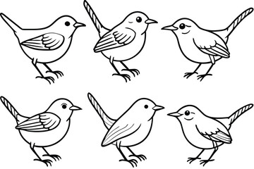 Fototapeta premium Wren bird line art illustration Design Concepts