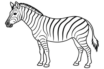 Zebra line art illustration Design