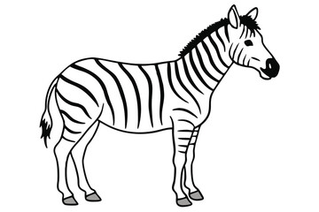 Zebra line art illustration Design