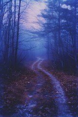 Obraz premium A dirt road winding through dense forest foliage
