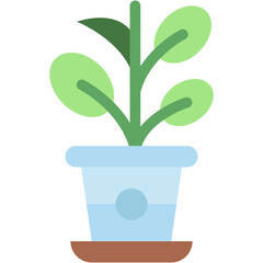Vector Icon Hyacinth, plants, house plants, decoration, botanical, nature