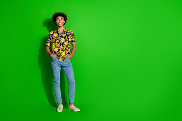 Photo of cheerful man wear trendy tropical print clothes empty space isolated on green color background