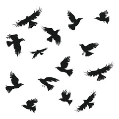 Obraz premium Silhouettes of 15 flying birds isolated on white background.