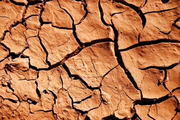 dry cracked earth texture