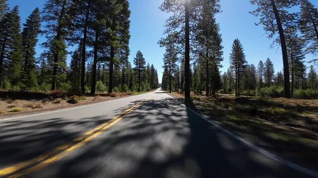 Volcanic Legacy Scenic Byway Shasta McCloud to Curtis 03 Front View Driving Plates California USA Ultra Wide