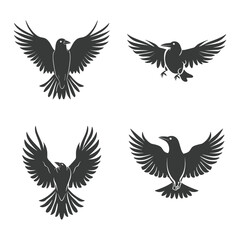Set of four black crow silhouette illustrations