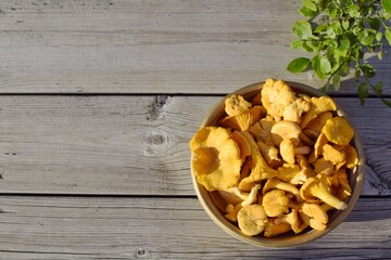 Bowl with chanterelles on wooden background