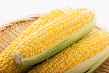 ［宮城県産］とうもろこし　品種：夢みらい