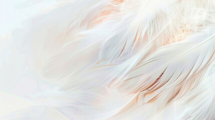 Soft white feathers delicately overlap on a creamy background. soft colorful feathers bright background