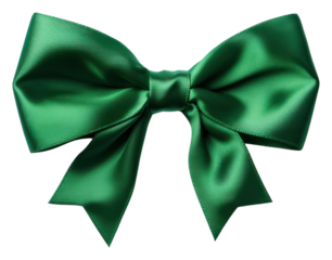 PNG Bow jewelry ribbon green.