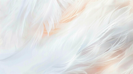 Soft white feathers delicately overlap on a creamy background. soft colorful feathers bright background