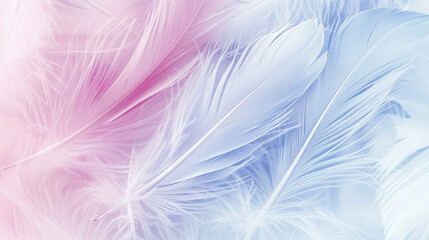 Obraz premium Soft white feathers delicately overlap on a creamy background. soft colorful feathers bright background