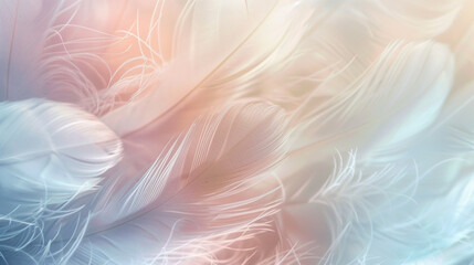 Naklejka premium Soft white feathers delicately overlap on a creamy background. soft colorful feathers bright background